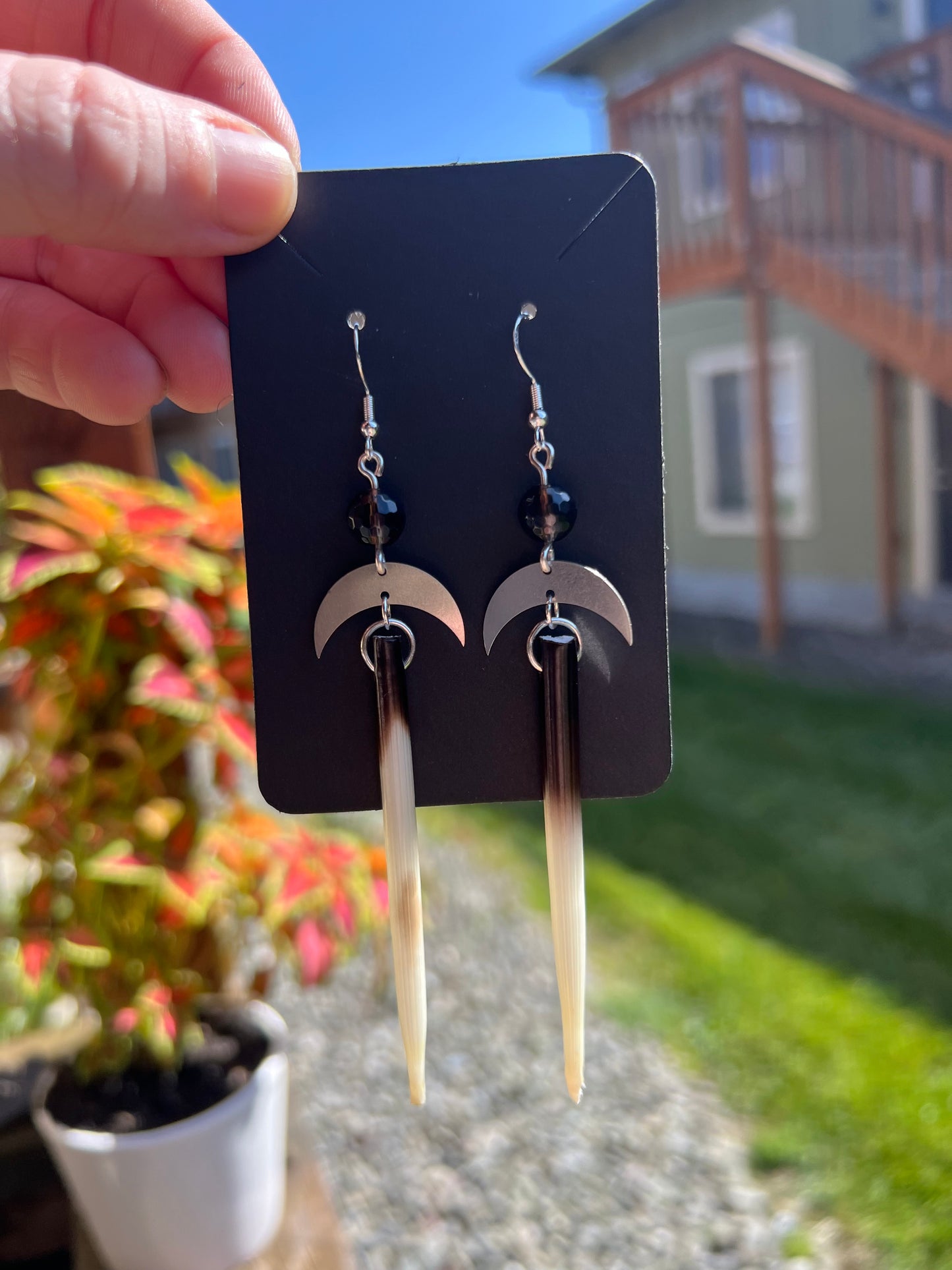 Moons & Quills
